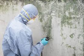 Best Water Damage & Mold Remediation in Dovesville, SC